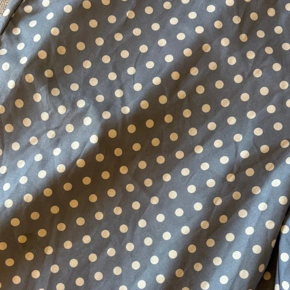SHEIN Blue and White Polka Dot Pants - Picture 10 of 12